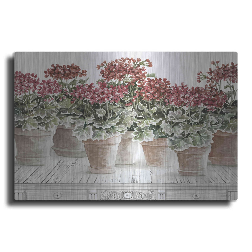 'Potted Geranium Mix III' by Cindy Jacobs – Metal Wall Art