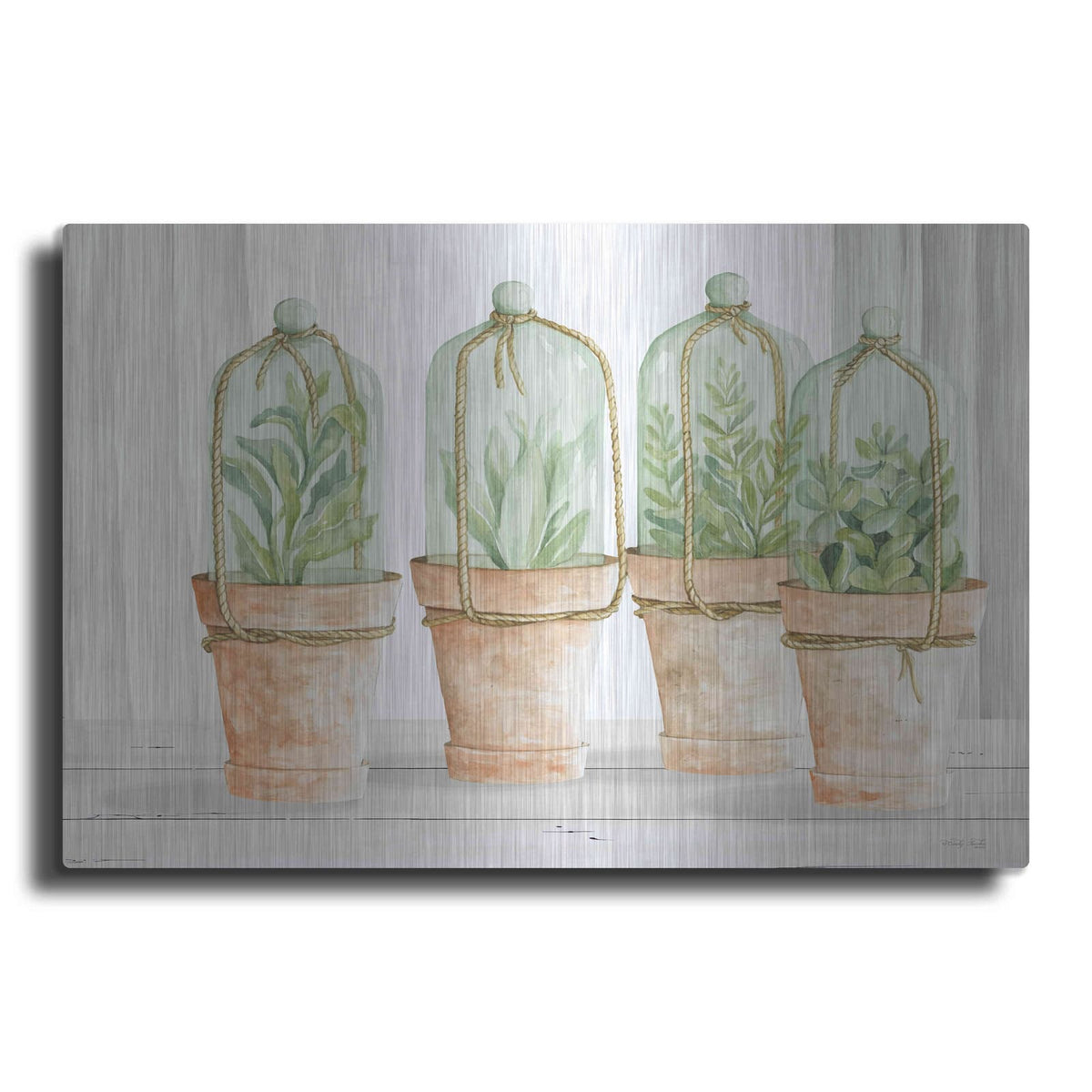 'Herb Collection' by Cindy Jacobs – Metal Wall Art