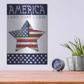 'Land That I Love Star' by Cindy Jacobs – Metal Wall Art, 12x16 room view
