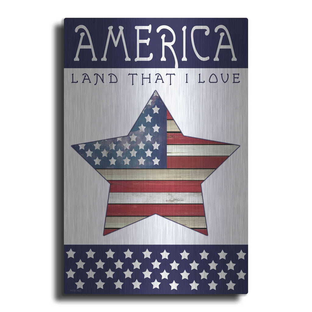 'Land That I Love Star' by Cindy Jacobs – Metal Wall Art