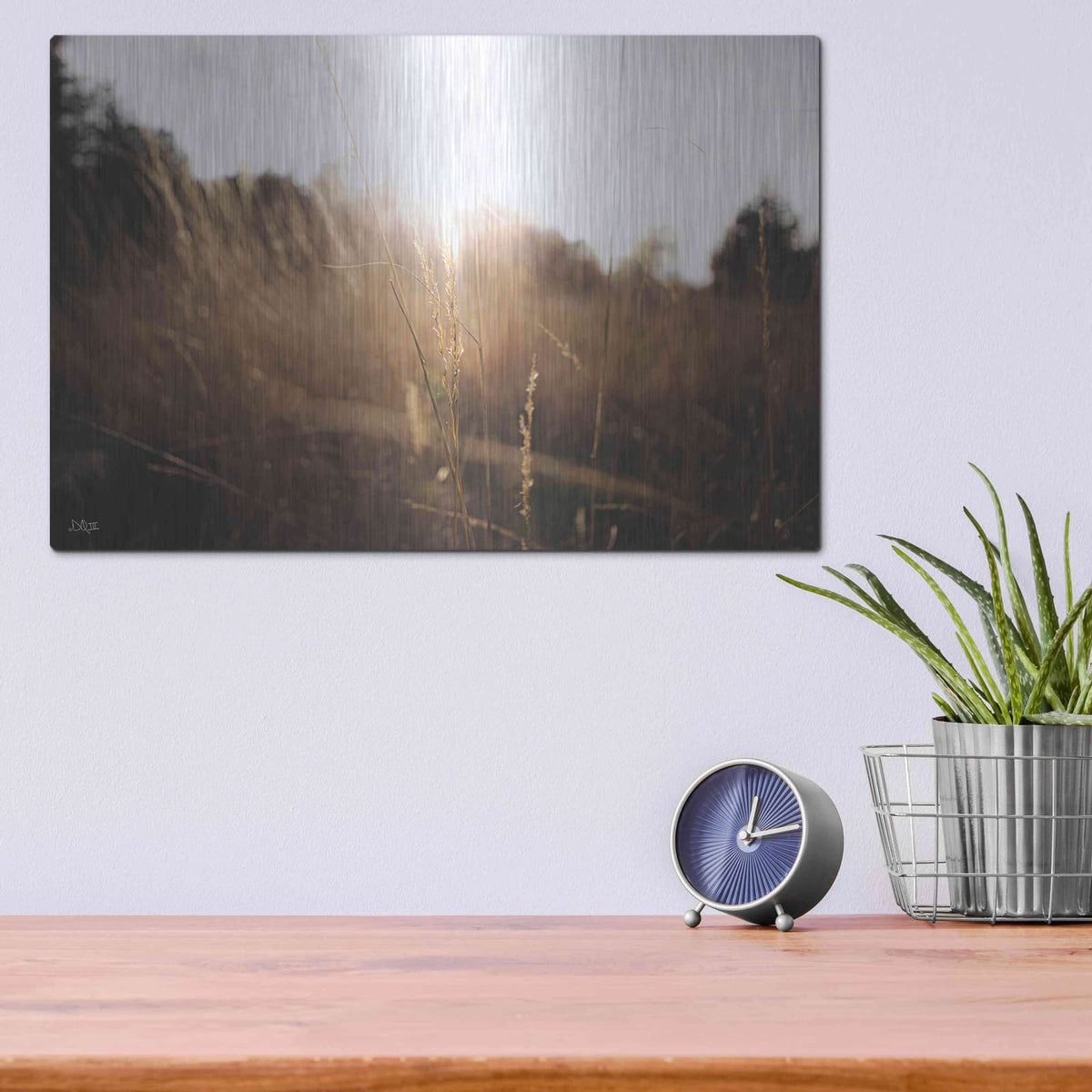 'Bright Sun Haze I' by Donnie Quillen – Metal Wall Art, 16x12 room view
