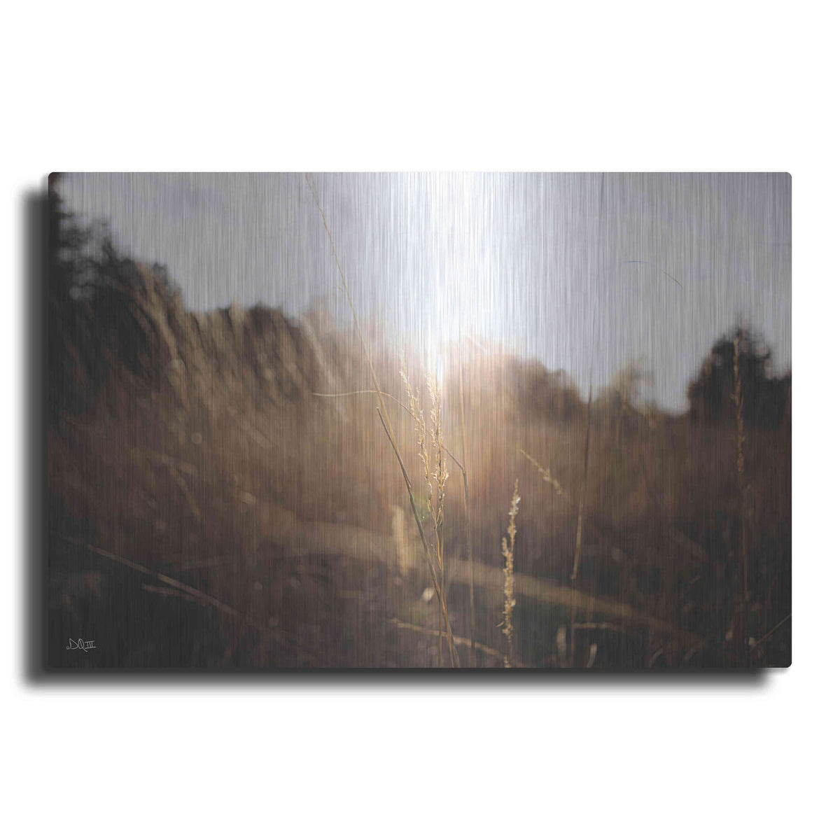 'Bright Sun Haze I' by Donnie Quillen – Metal Wall Art