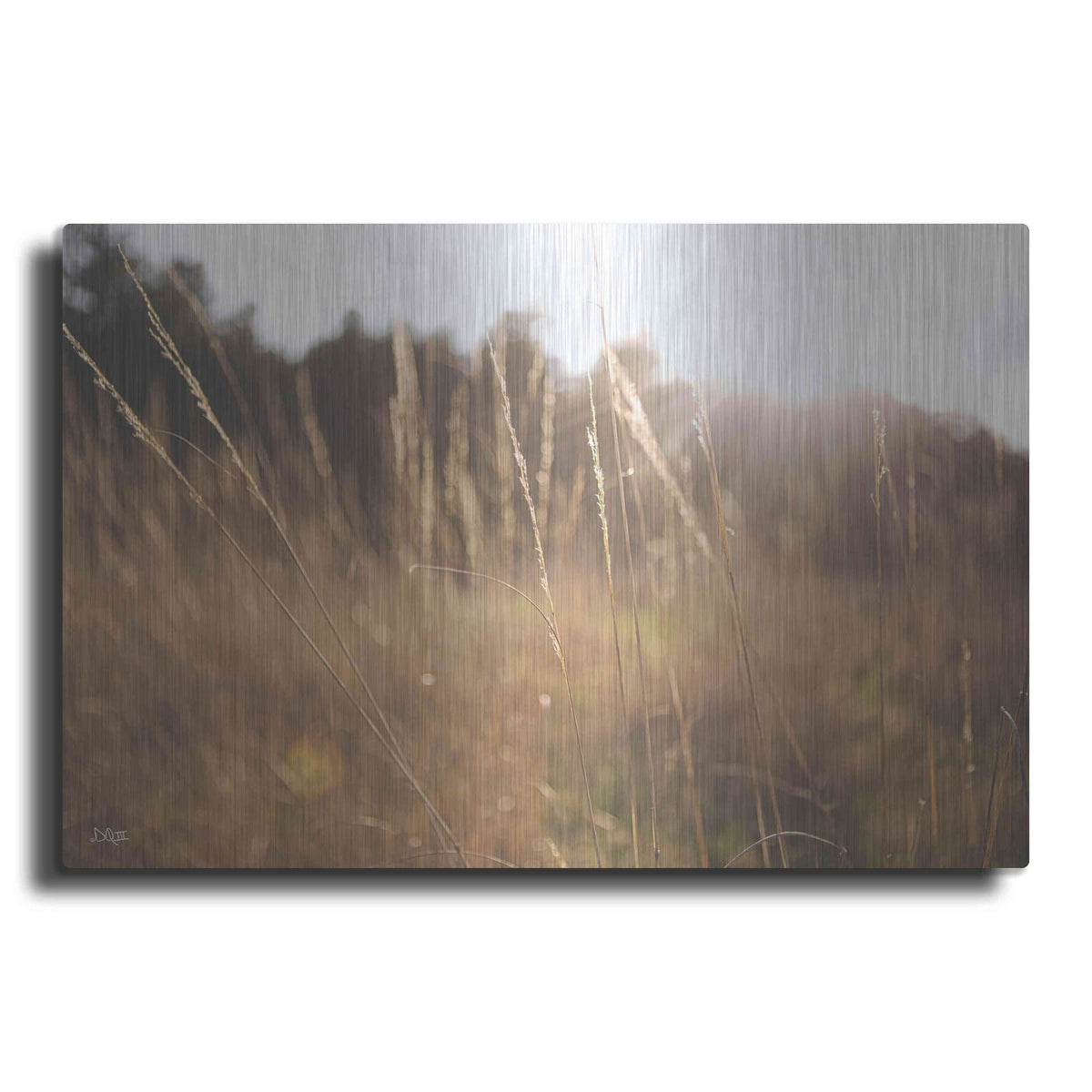 'Bright Sun Haze II' by Donnie Quillen – Metal Wall Art