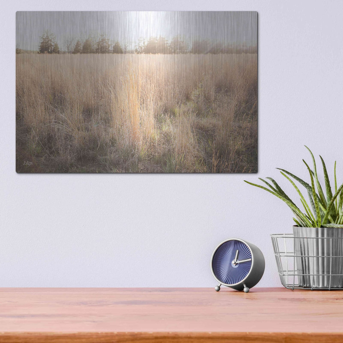 'Bright Sun Haze III' by Donnie Quillen – Metal Wall Art, 16x12 room view
