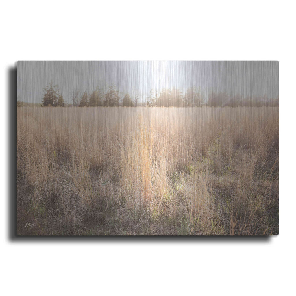 'Bright Sun Haze III' by Donnie Quillen – Metal Wall Art