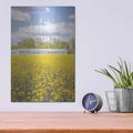 'Field Of Yellow I' by Donnie Quillen – Metal Wall Art, 12x16 room view