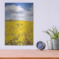 'Field Of Yellow III' by Donnie Quillen – Metal Wall Art, 12x16 room view