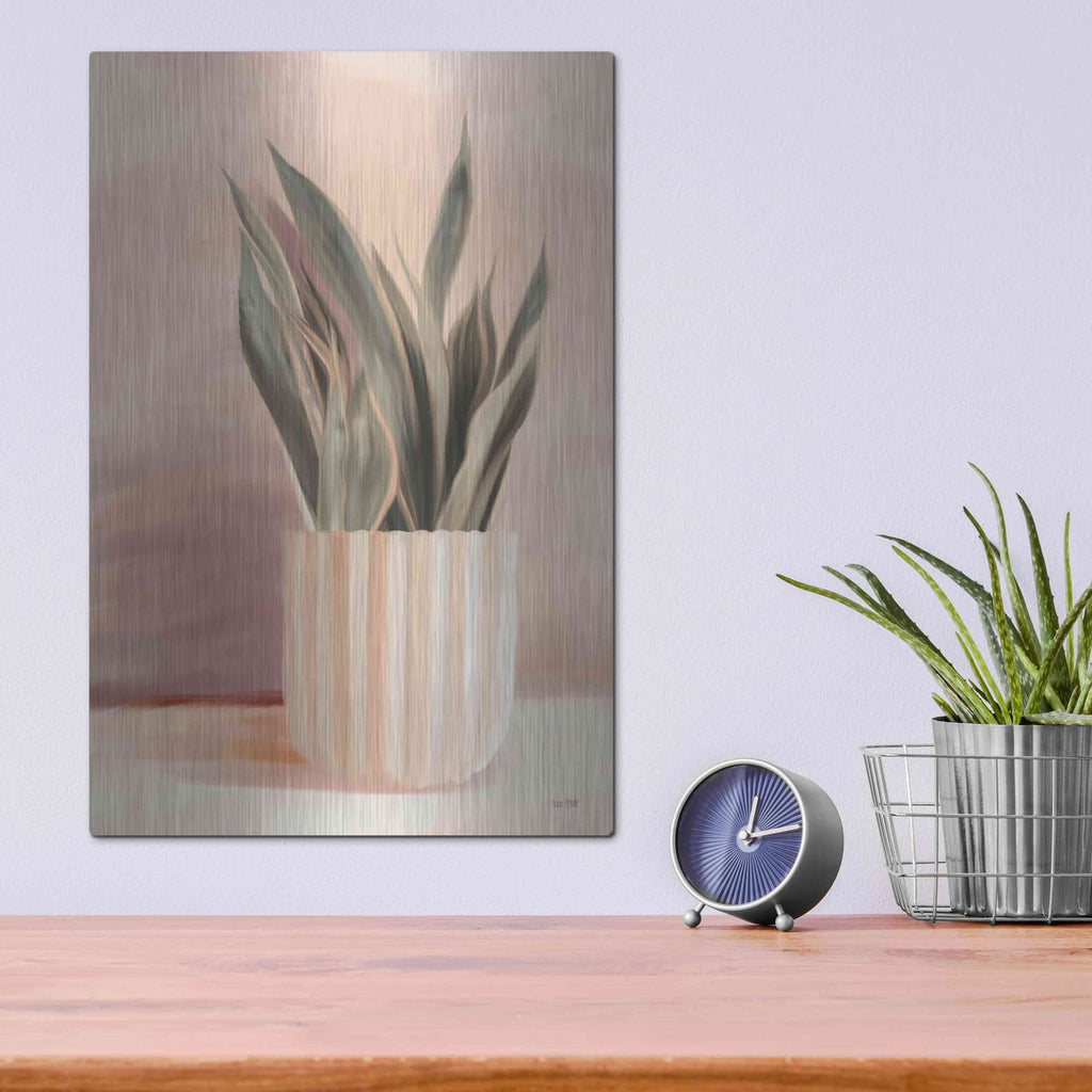 'Striped Bohemian Plant II' by House Fenway – Metal Wall Art, 12x16 room view