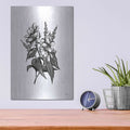 'Pen And Ink Wildflower I' by House Fenway – Metal Wall Art, 12x16 room view