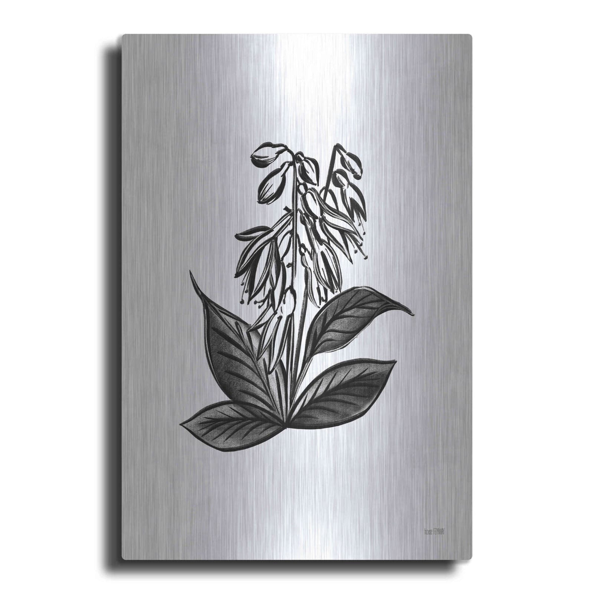 'Pen And Ink Wildflower III' by House Fenway – Metal Wall Art