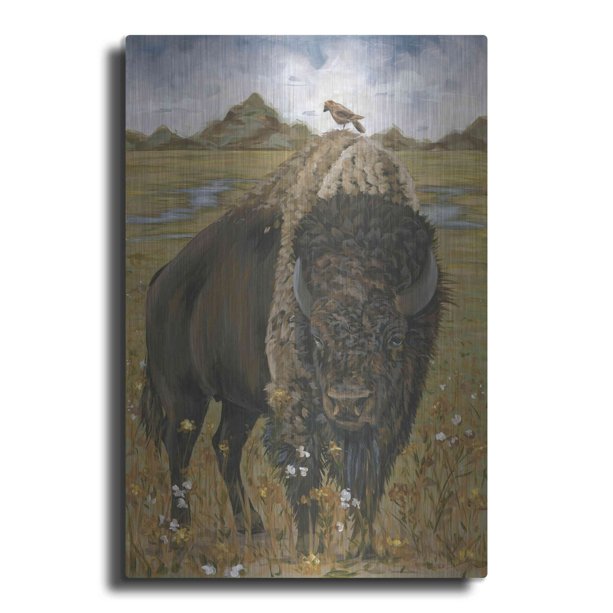'Bison' by Hollihocks Art – Metal Wall Art