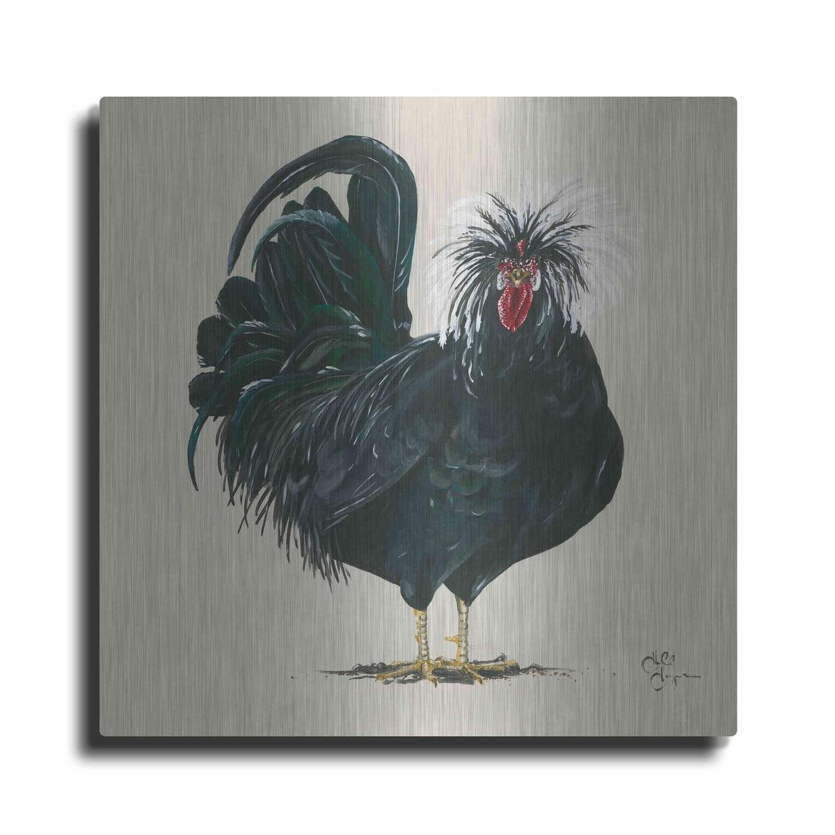 'Chicken' by Hollihocks Art – Metal Wall Art