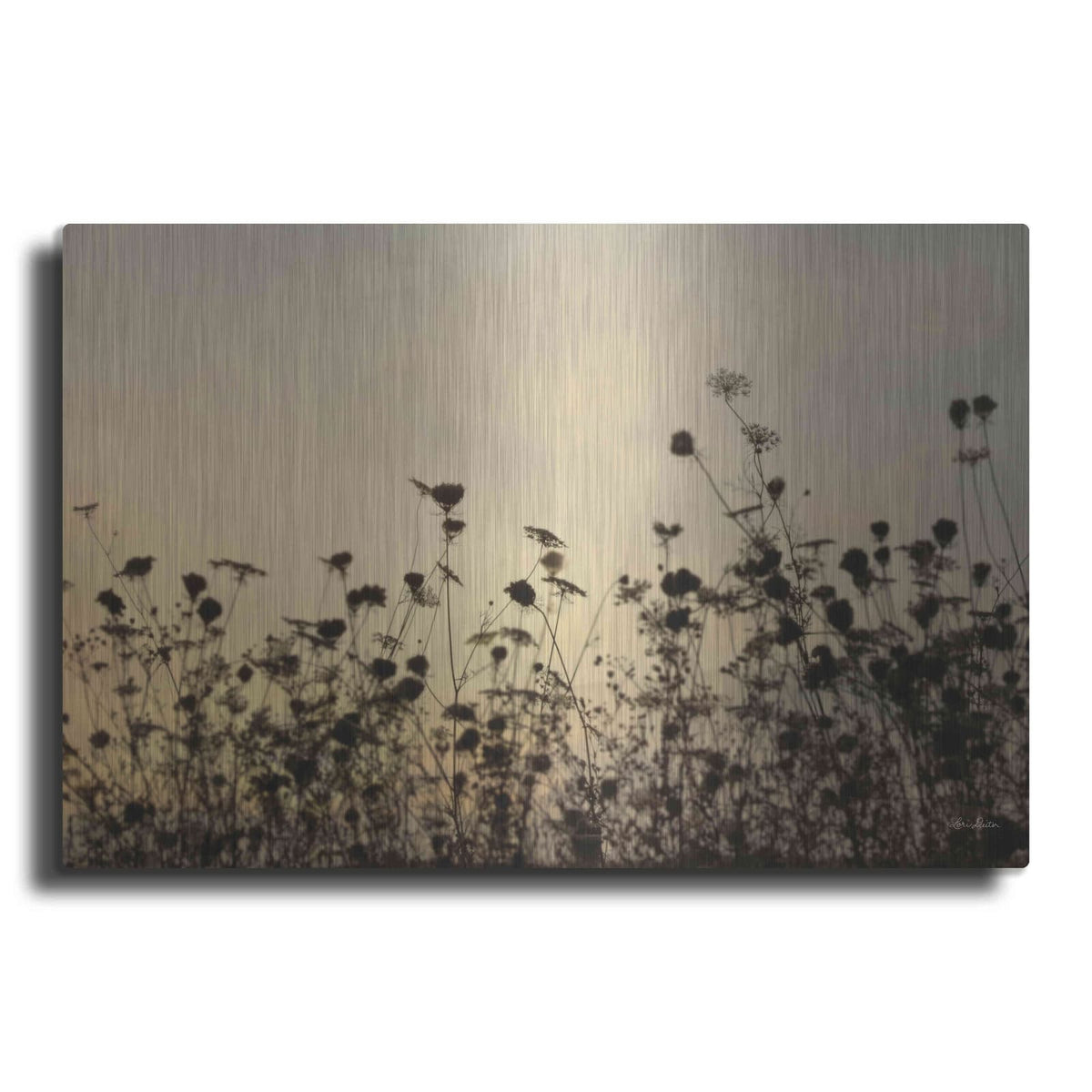 'Sunset Lace' by Lori Deiter – Metal Wall Art