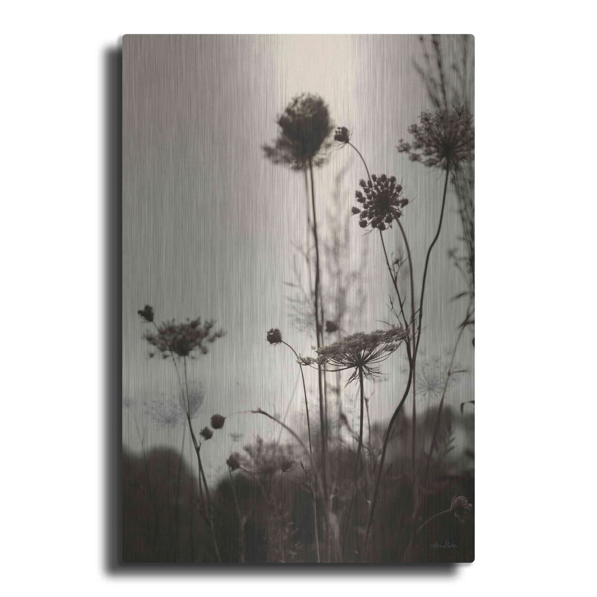 'Queen Anne Silhouettes' by Lori Deiter – Metal Wall Art