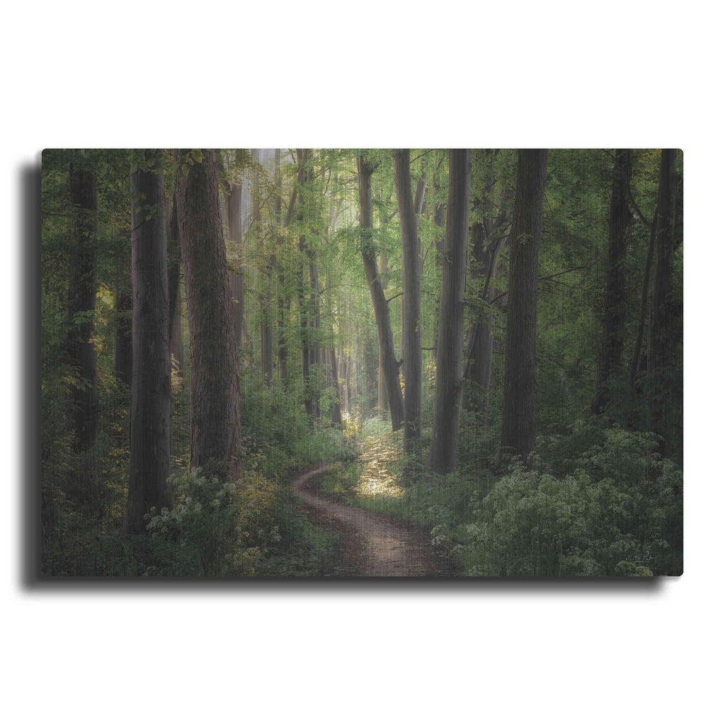 'Spring Chaos' by Martin Podt – Metal Wall Art