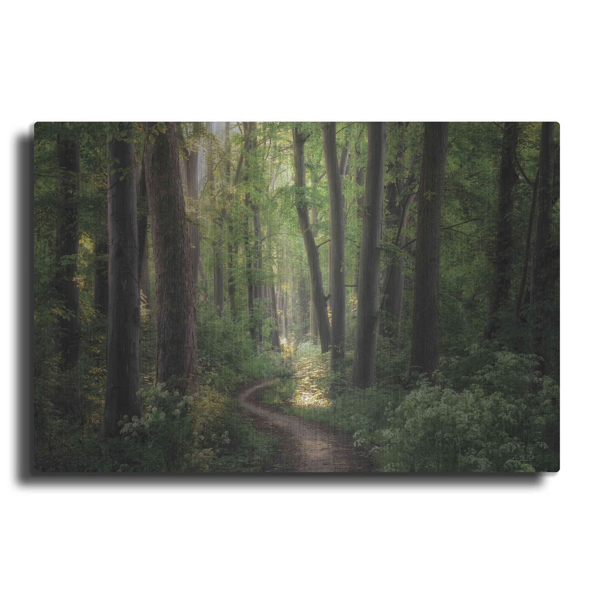 'Spring Chaos' by Martin Podt – Metal Wall Art