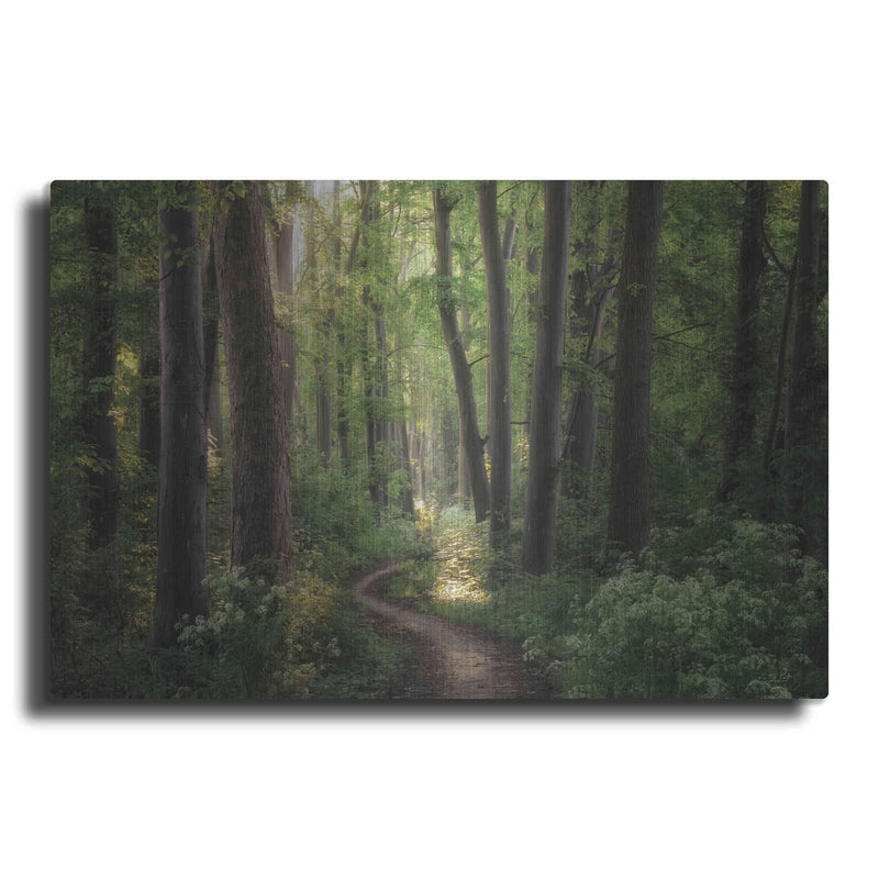 'Spring Chaos' by Martin Podt – Metal Wall Art