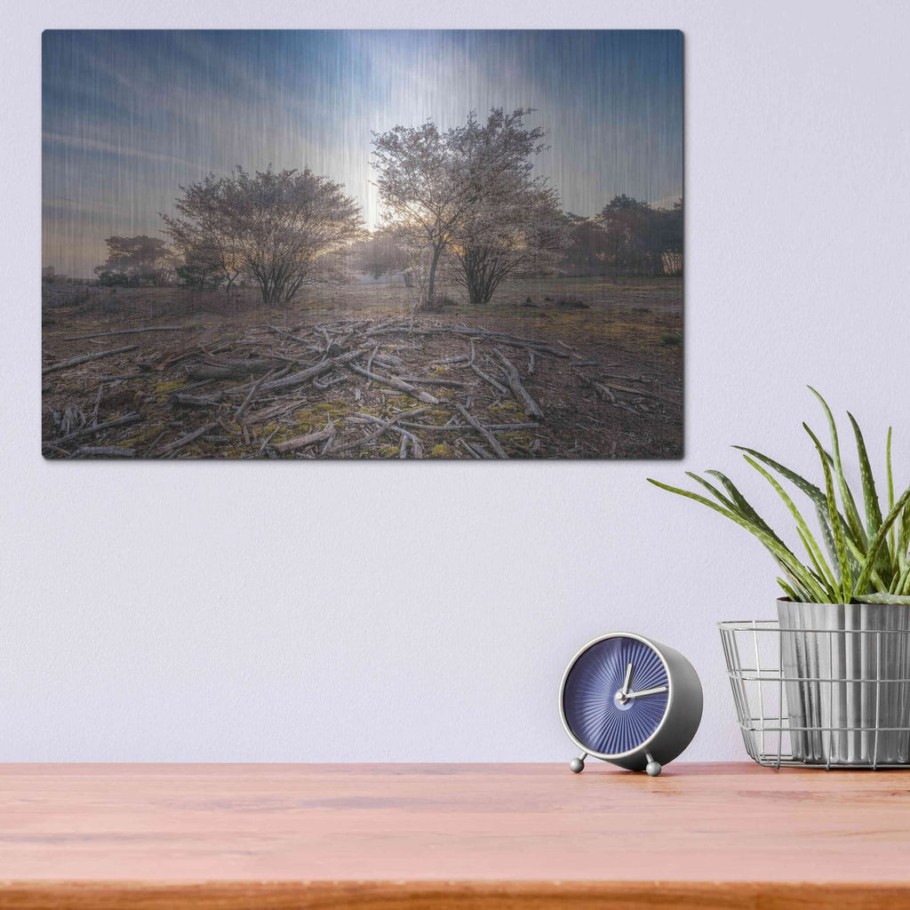 'Spring Bushes at Sunrise' by Martin Podt – Metal Wall Art, 16x12 room view