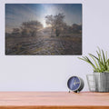 'Spring Bushes at Sunrise' by Martin Podt – Metal Wall Art, 16x12 room view