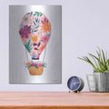 'Floral Ballooning' by Rachel Nieman – Metal Wall Art, 12x16 room view