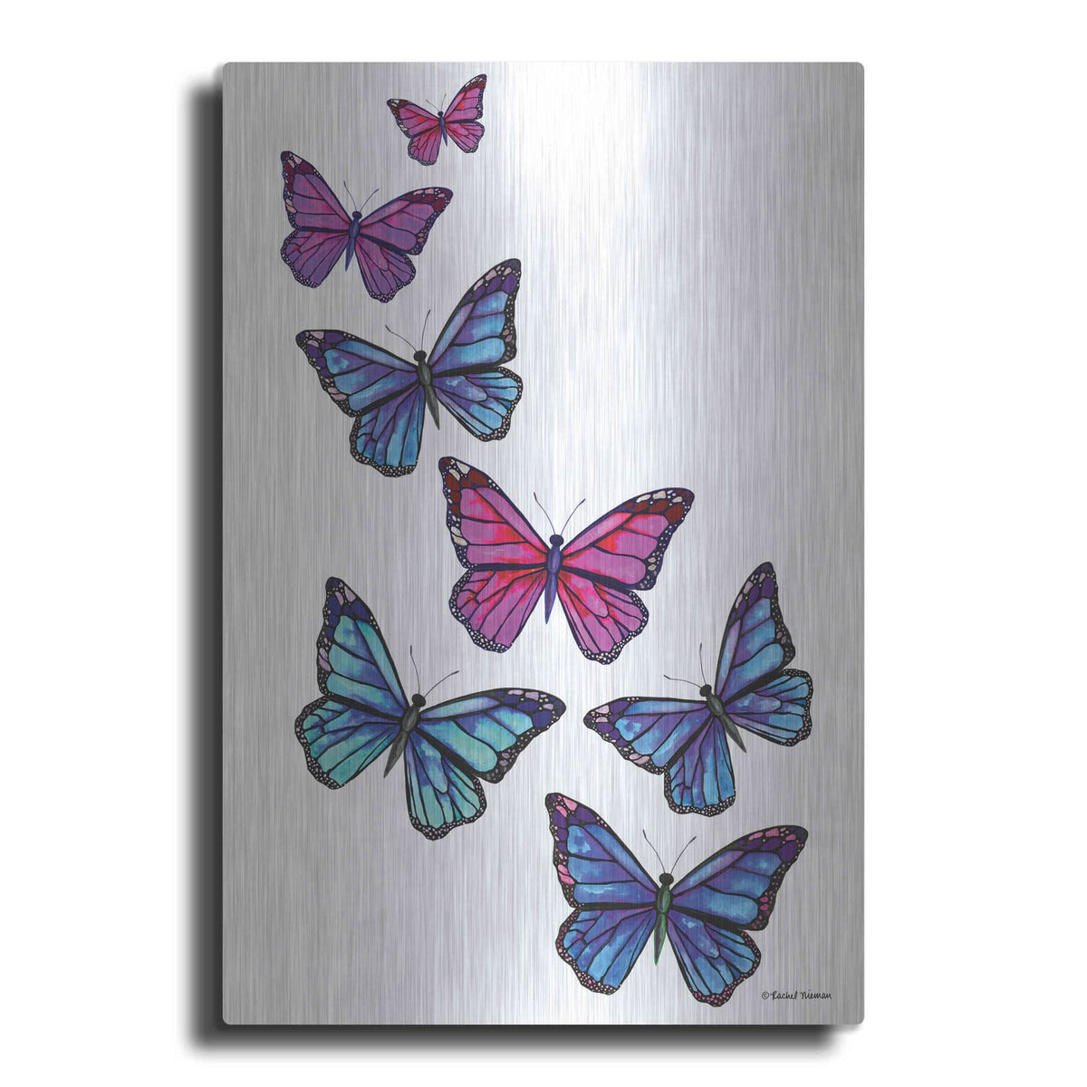'Vibrant Flying Butterflies' by Rachel Nieman – Metal Wall Art