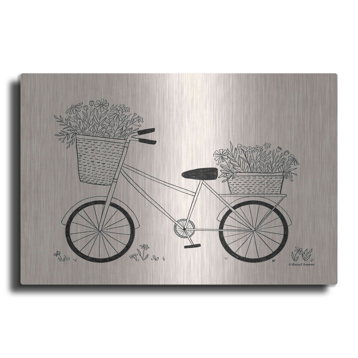 'Spring Flower Bike Sketch' by Rachel Nieman – Metal Wall Art
