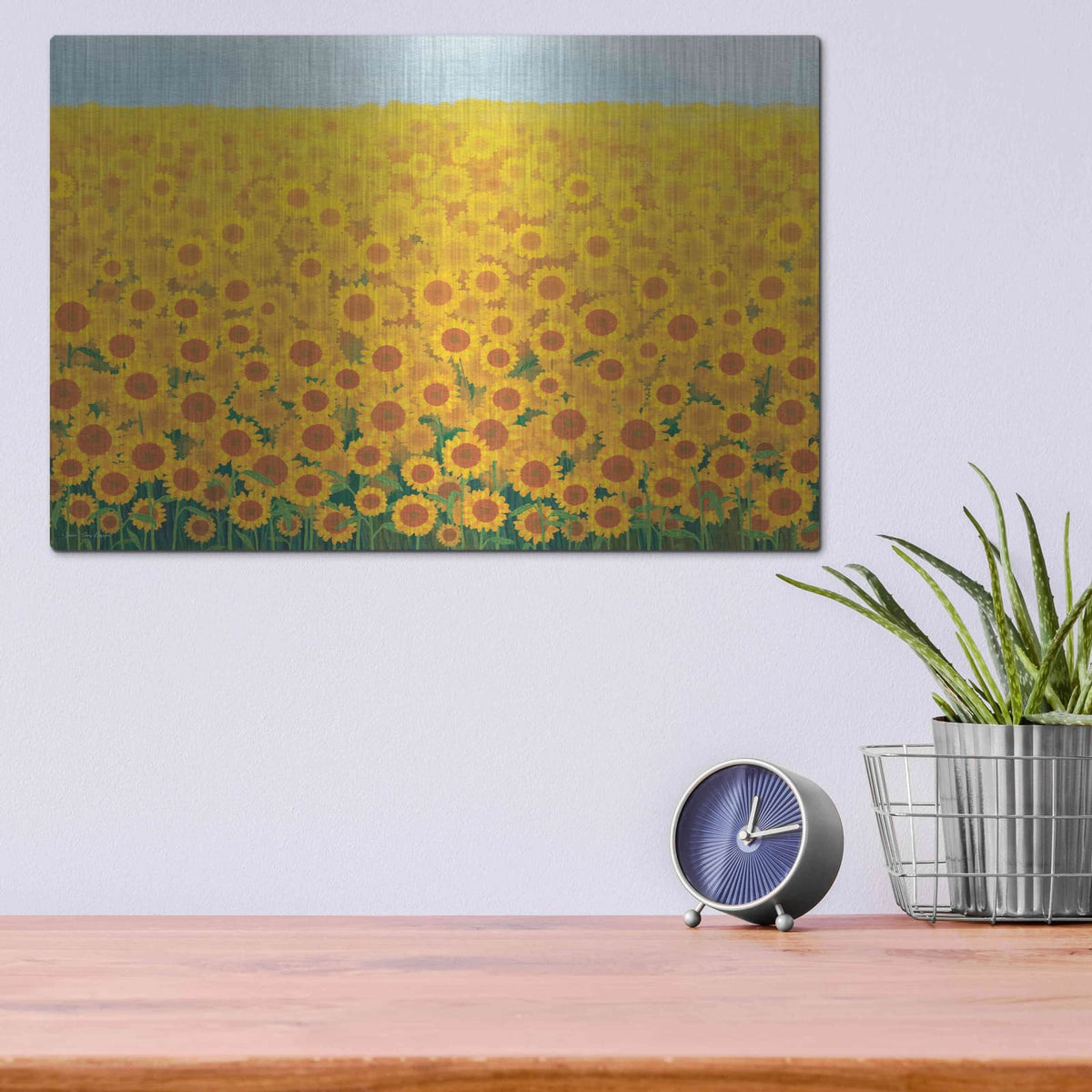 'Field of Sunflowers' by Seven Trees Design – Metal Wall Art, 16x12 room view