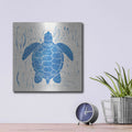 'Sea Creature Turtle Blue' by Courtney Prahl – Metal Wall Art, 12x12 room view