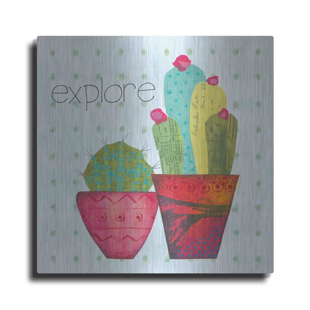 'Southwest Cactus I' by Courtney Prahl – Metal Wall Art