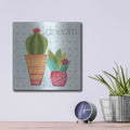 'Southwest Cactus IV' by Courtney Prahl – Metal Wall Art, 12x12 room view