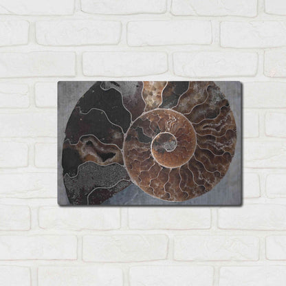 Luxe Metal Art 'Ammonite Spiral' by Elena Ray, Metal Wall Art,16x12