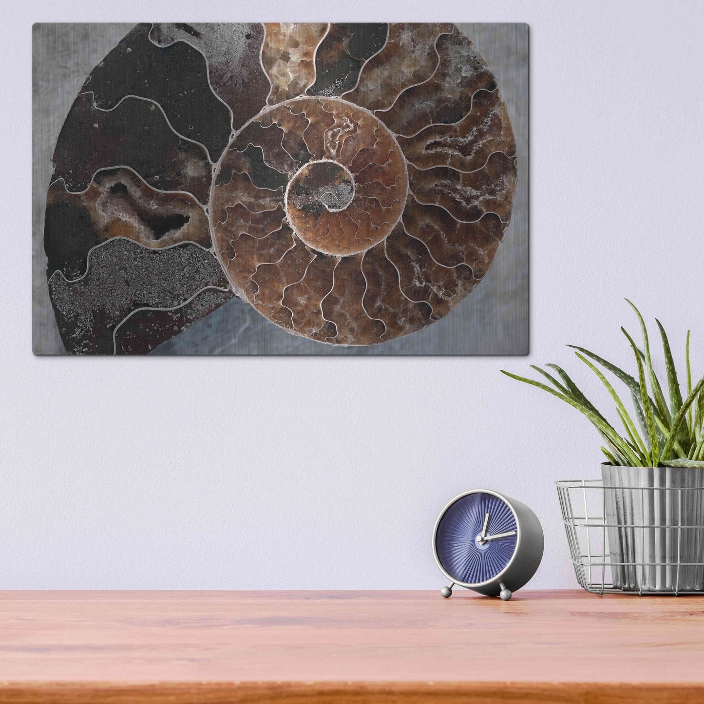 Luxe Metal Art 'Ammonite Spiral' by Elena Ray, Metal Wall Art,16x12