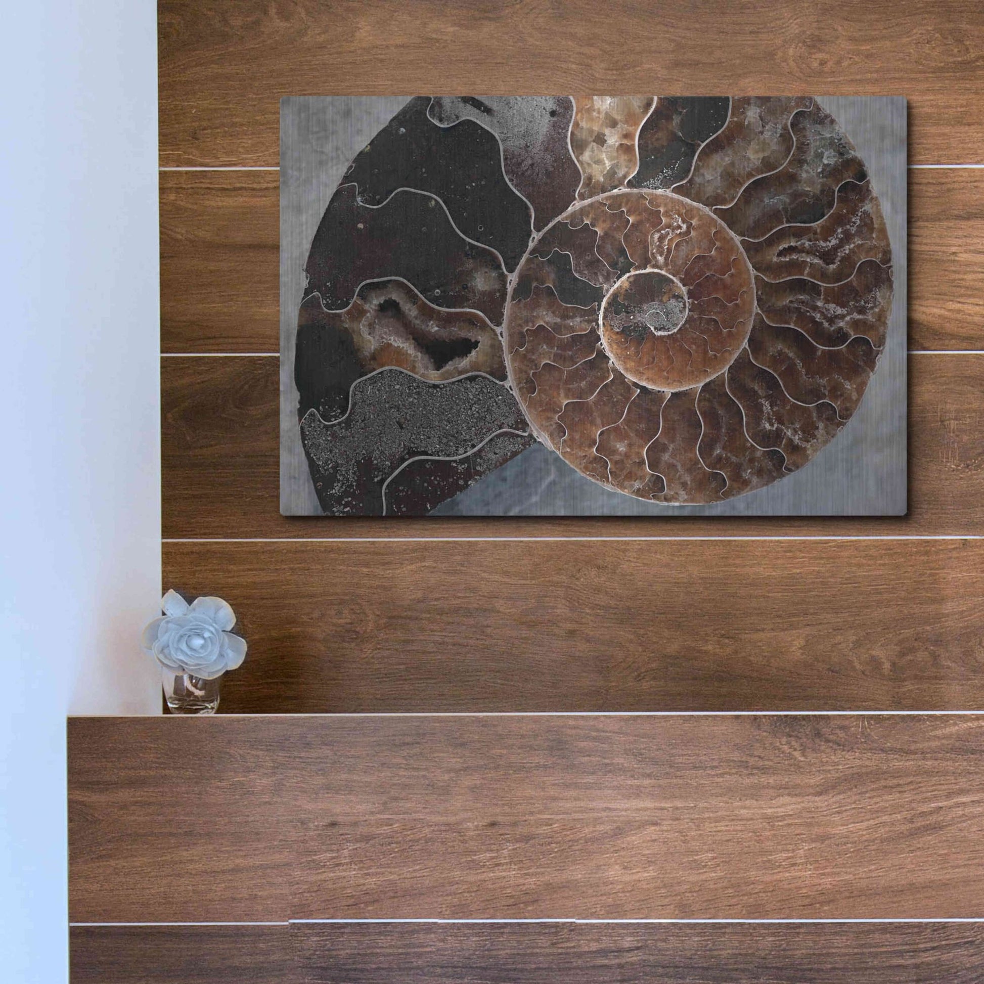 Luxe Metal Art 'Ammonite Spiral' by Elena Ray, Metal Wall Art,16x12