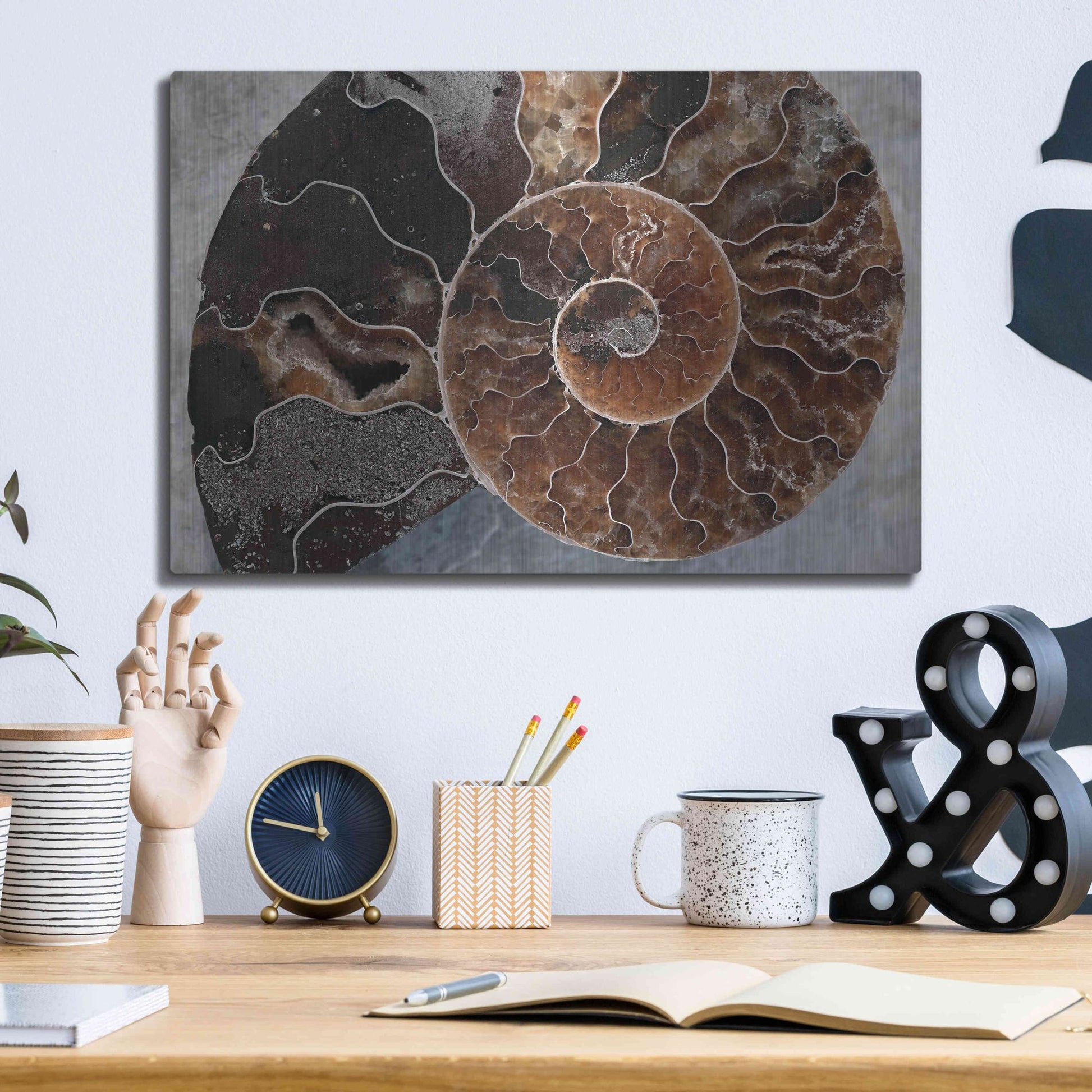 Luxe Metal Art 'Ammonite Spiral' by Elena Ray, Metal Wall Art,16x12