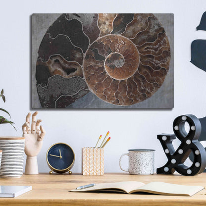 Luxe Metal Art 'Ammonite Spiral' by Elena Ray, Metal Wall Art,16x12