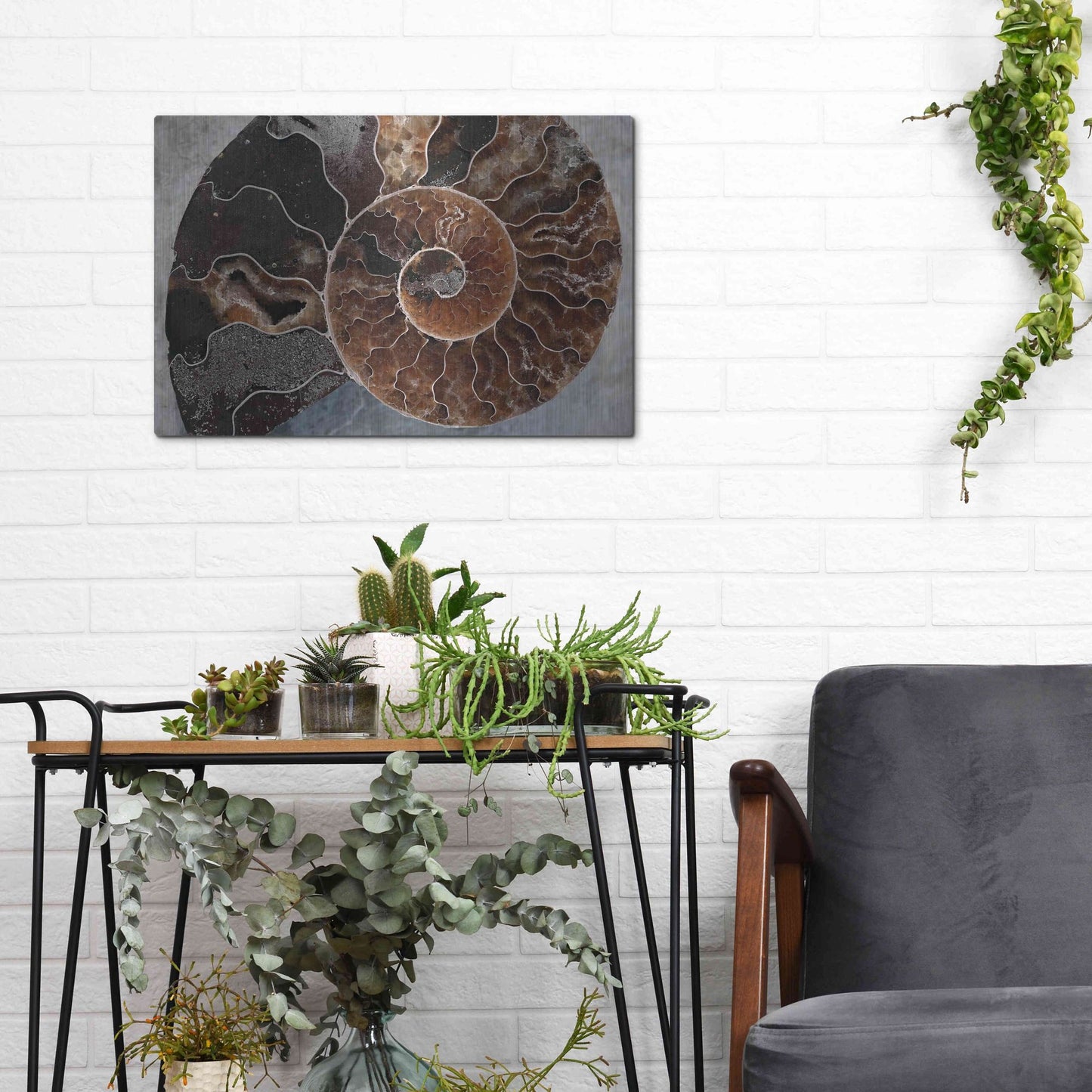 Luxe Metal Art 'Ammonite Spiral' by Elena Ray, Metal Wall Art,16x12