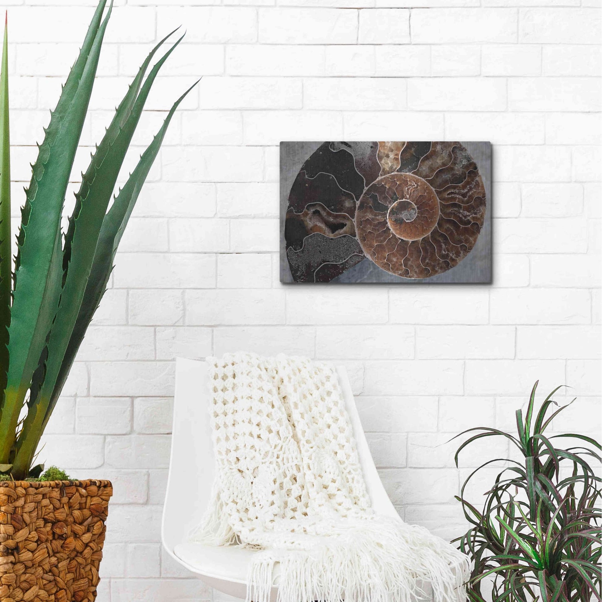 Luxe Metal Art 'Ammonite Spiral' by Elena Ray, Metal Wall Art,16x12