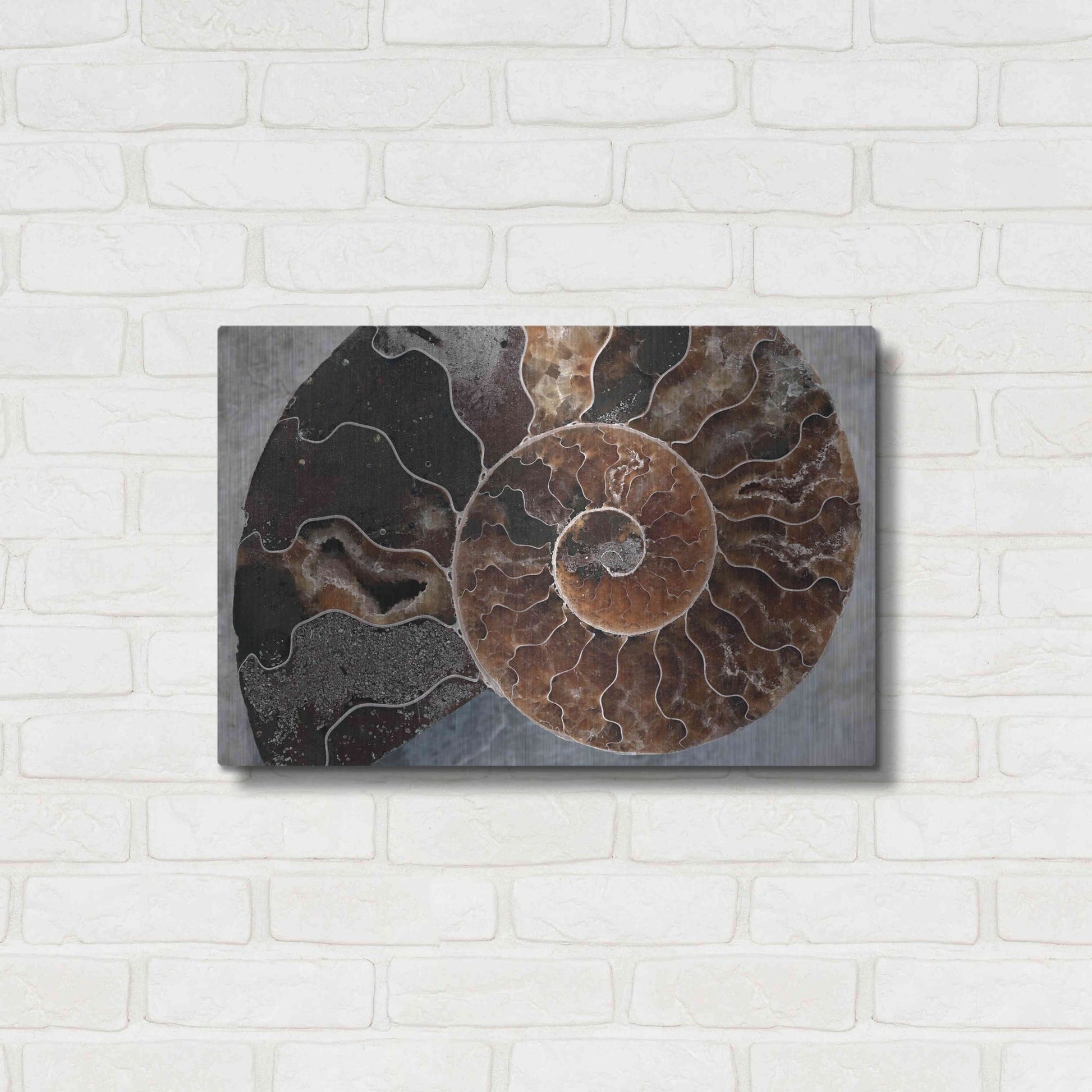 Luxe Metal Art 'Ammonite Spiral' by Elena Ray, Metal Wall Art,24x16