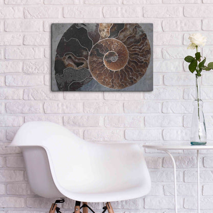 Luxe Metal Art 'Ammonite Spiral' by Elena Ray, Metal Wall Art,24x16