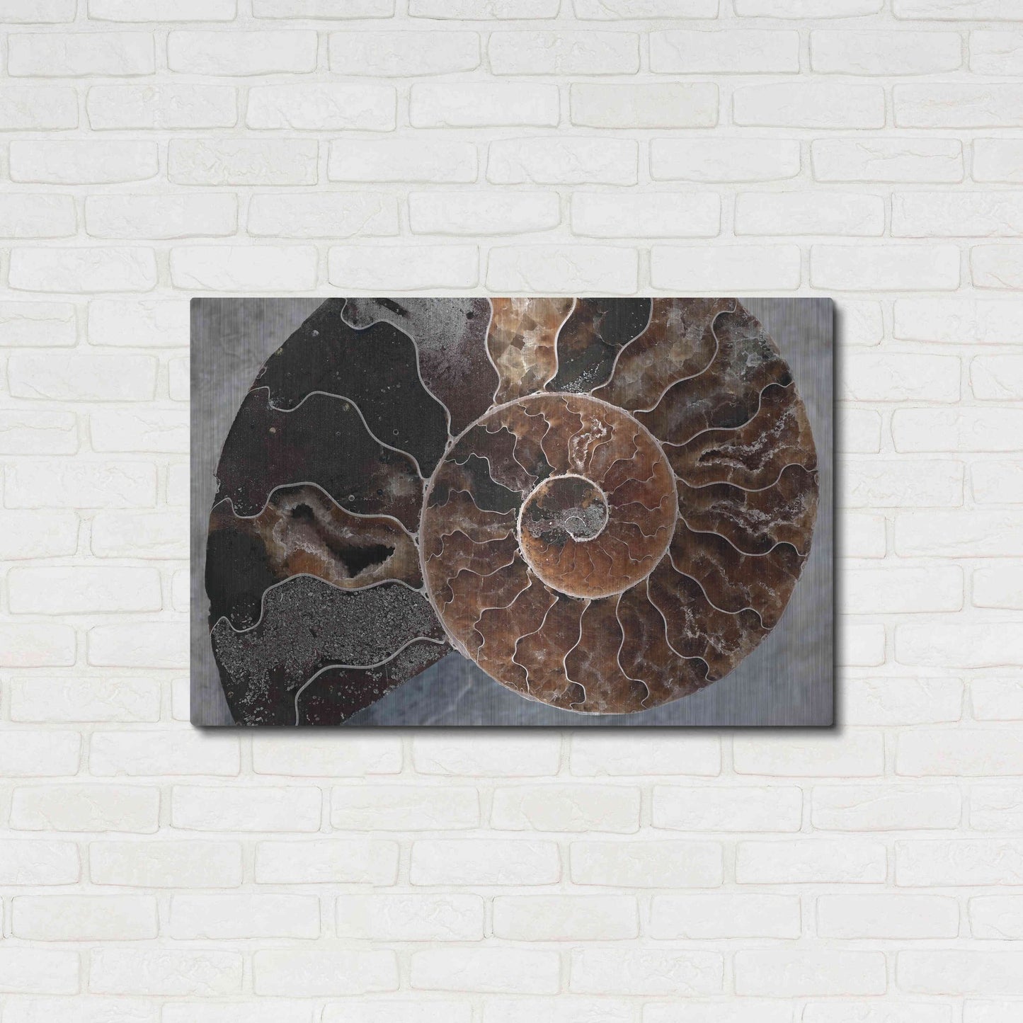 Luxe Metal Art 'Ammonite Spiral' by Elena Ray, Metal Wall Art,36x24