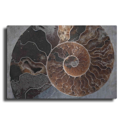 Luxe Metal Art 'Ammonite Spiral' by Elena Ray, Metal Wall Art