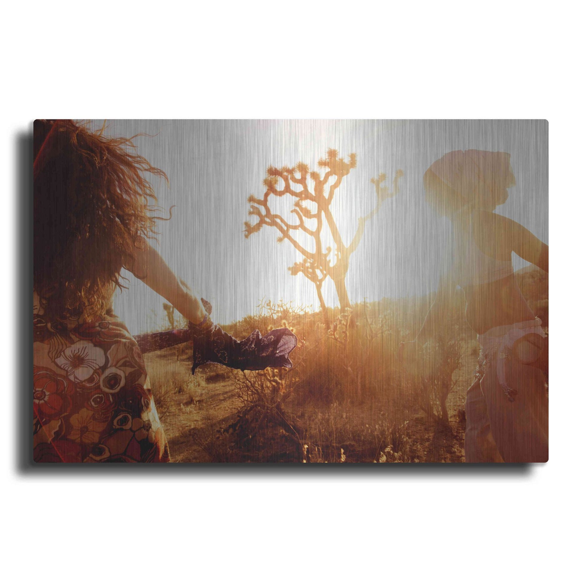 Luxe Metal Art 'Wild Woman Sisterhood' by Elena Ray, Metal Wall Art