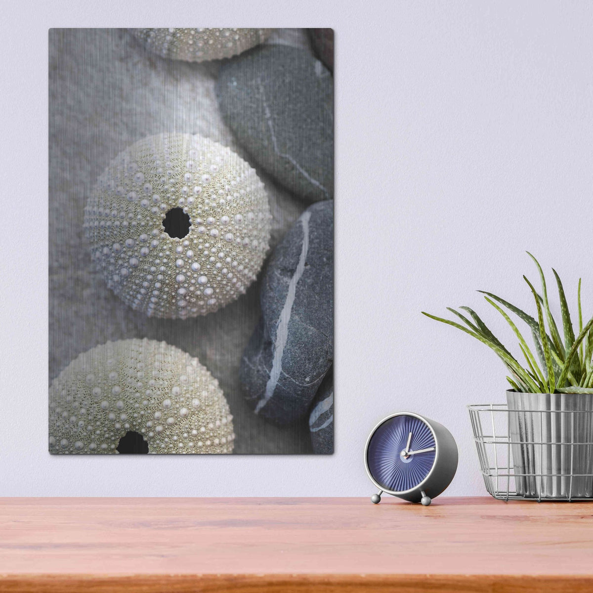 Luxe Metal Art 'Sea Urchins' by Elena Ray, Metal Wall Art,12x16