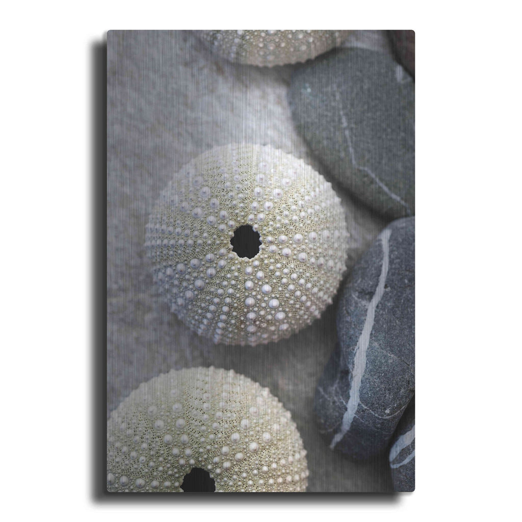 Luxe Metal Art 'Sea Urchins' by Elena Ray, Metal Wall Art