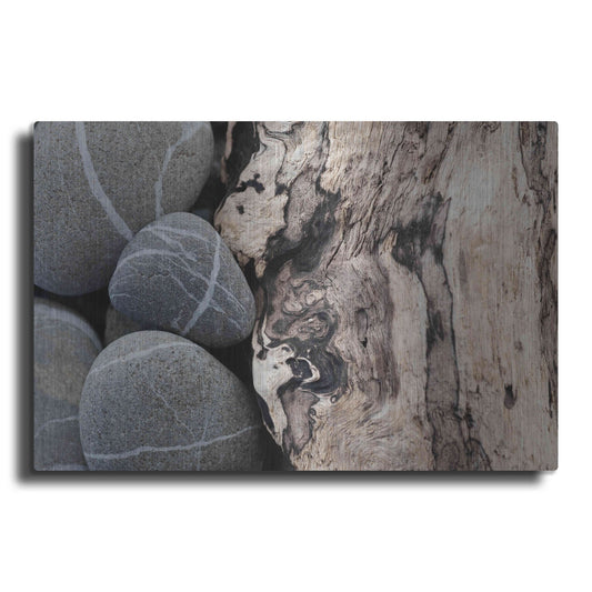 Luxe Metal Art 'Dirftwood and Beach Stones' by Elena Ray, Metal Wall Art