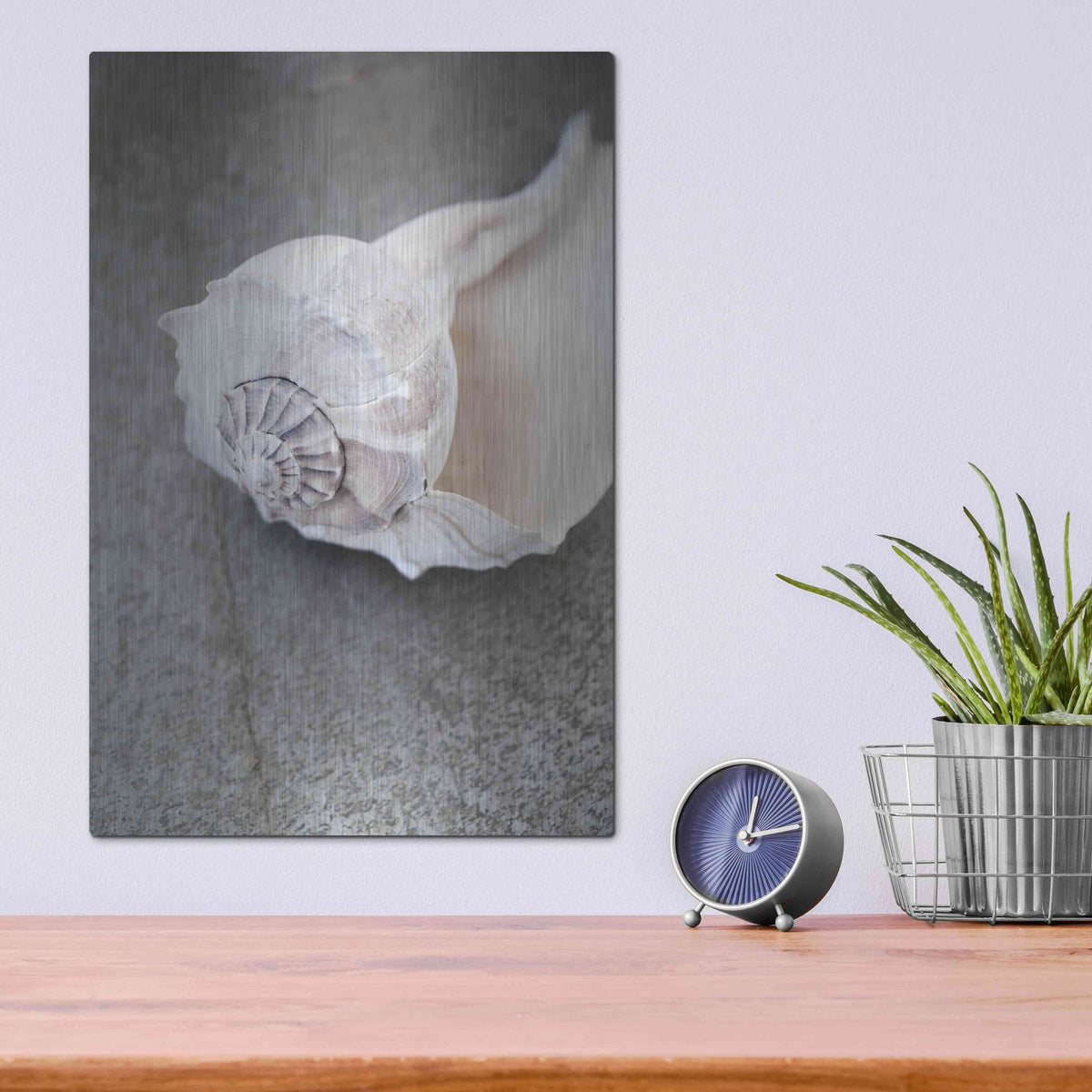 Luxe Metal Art 'Conch on Grey Stone' by Elena Ray, Metal Wall Art,12x16