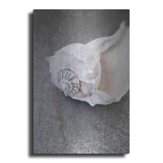 Luxe Metal Art 'Conch on Grey Stone' by Elena Ray, Metal Wall Art