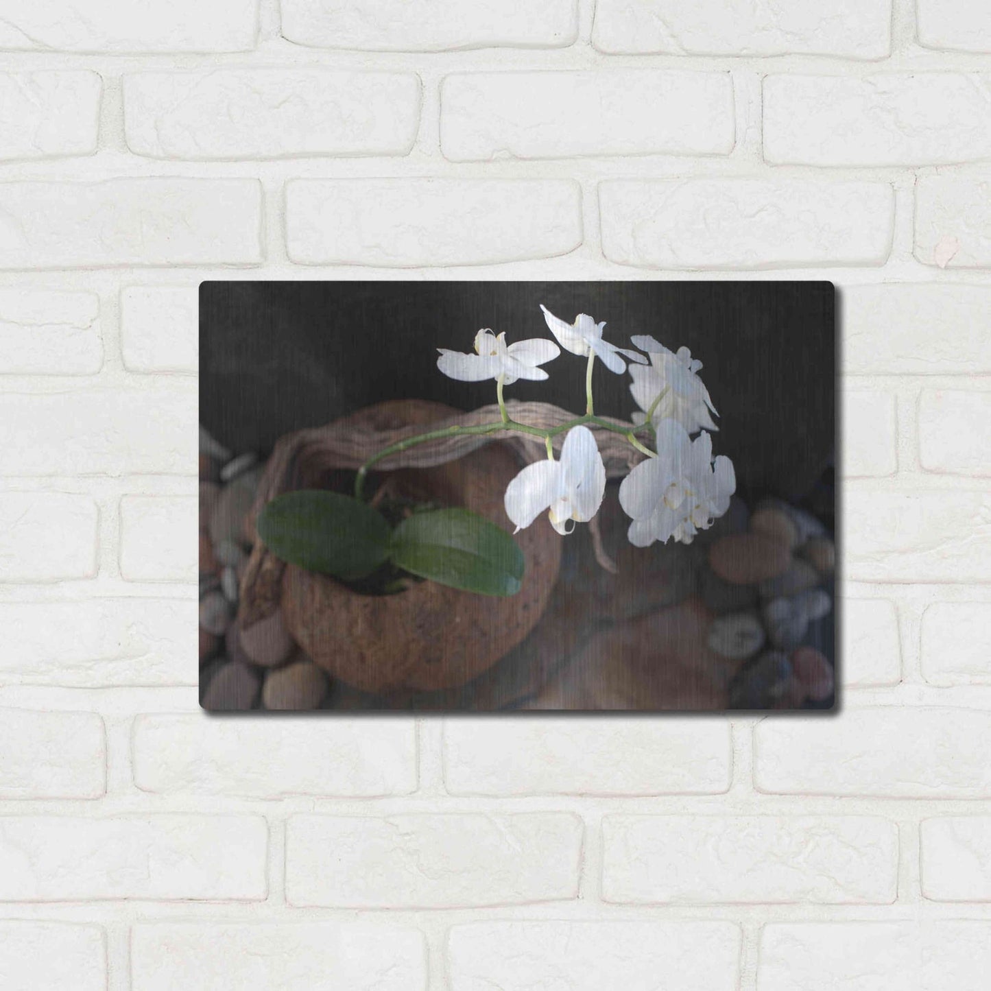 Luxe Metal Art 'Orchid Flowers' by Elena Ray, Metal Wall Art,16x12