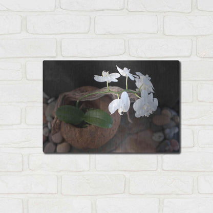 Luxe Metal Art 'Orchid Flowers' by Elena Ray, Metal Wall Art,16x12