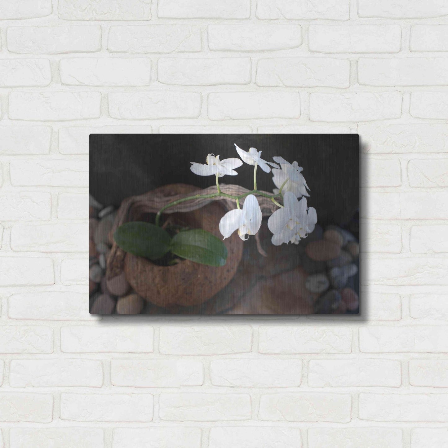 Luxe Metal Art 'Orchid Flowers' by Elena Ray, Metal Wall Art,24x16